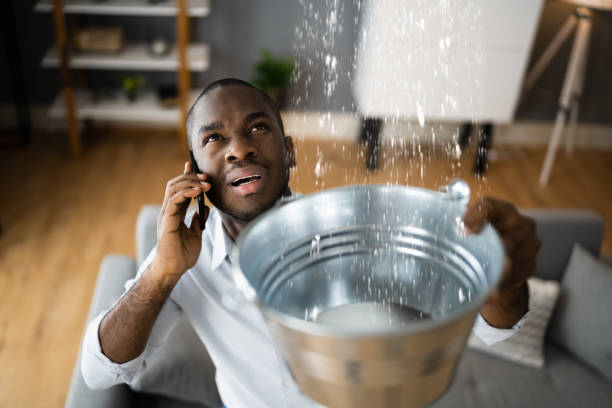 Best Residential water damage restoration  in Newfoundland, NJ