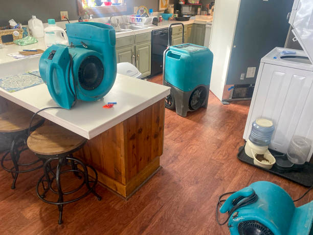Best Water damage restoration specialists  in Newfoundland, NJ