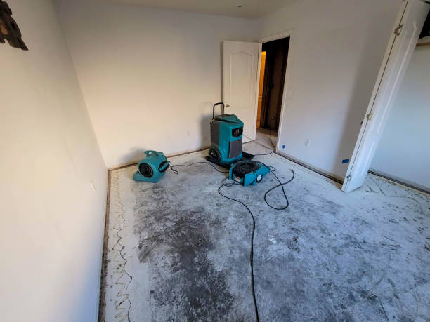 Best Basement water damage restoration  in Newfoundland, NJ