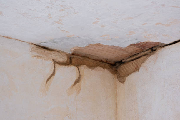 Best Emergency water damage restoration  in Newfoundland, NJ