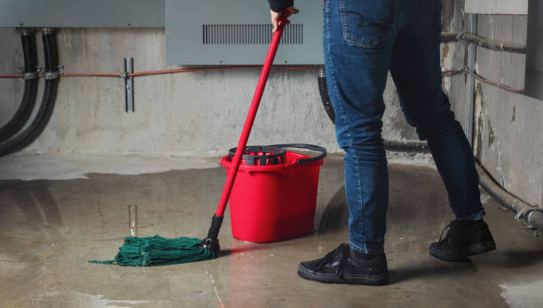 Best Water damage cleanup near me  in Newfoundland, NJ
