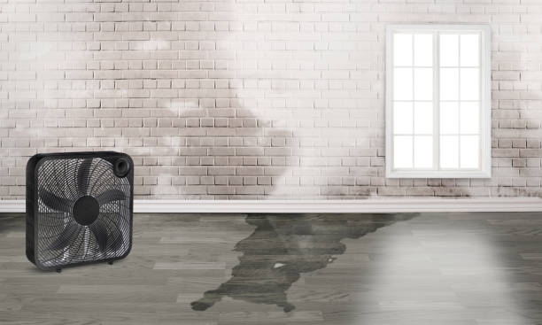 Water damage restoration process in Newfoundland, NJ