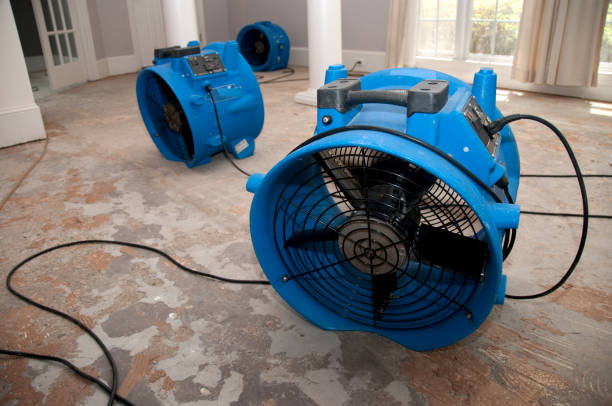 Best Flooded house restoration  in Newfoundland, NJ
