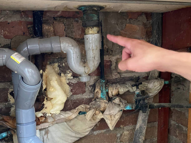 Best Water damage repair service  in Newfoundland, NJ