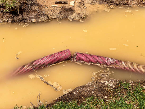 Best Water damage restoration near me  in Newfoundland, NJ
