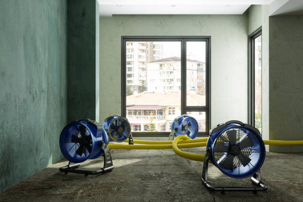 Best Sewage cleanup and water damage restoration  in Newfoundland, NJ