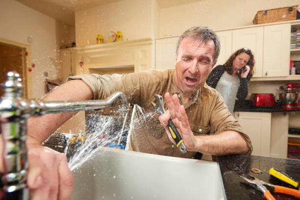 Best Water damage restoration experts  in Newfoundland, NJ